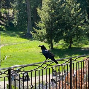 Meet your Posher, Timothy